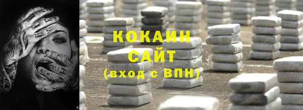 стафф Вяземский