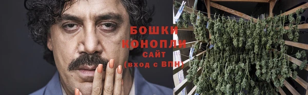 шишки Алексеевка