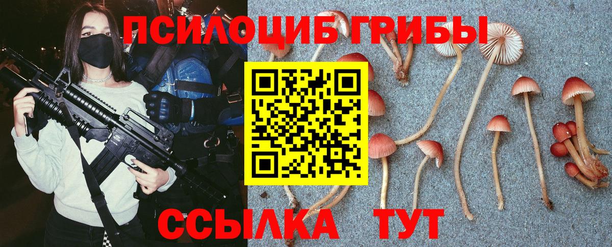 Псилоцибиновые грибы Magic Shrooms  Белая Калитва 