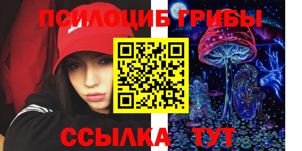 Псилоцибиновые грибы Psilocybine cubensis  Вход с VPN  Белая Калитва 