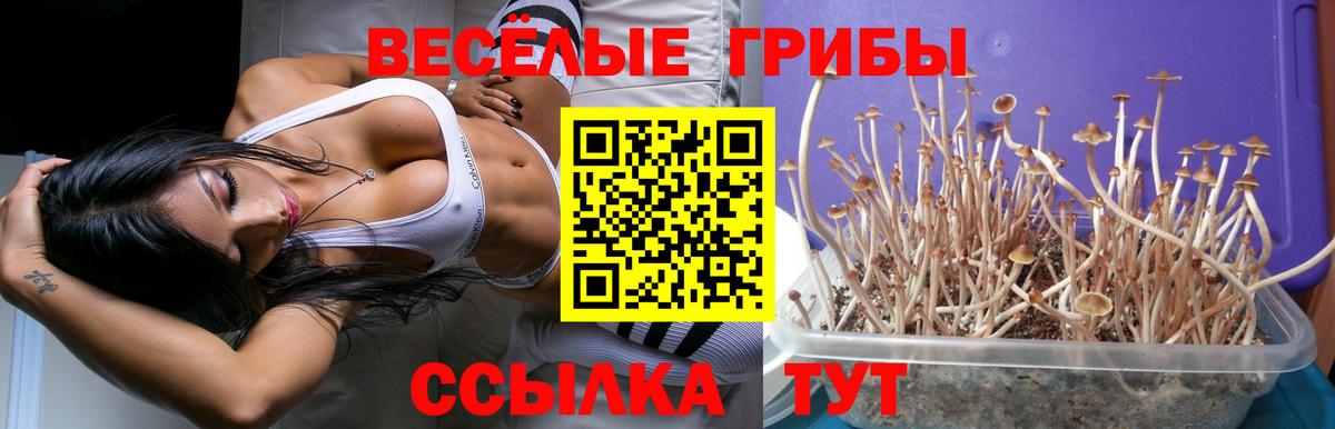 Галлюциногенные грибы GOLDEN TEACHER Белая Калитва
